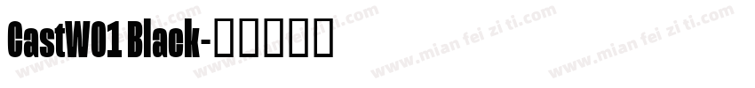 CastW01 Black字体转换
